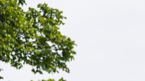 Protestaron frente a la Casa Blanca contra el bombardeo de EE.UU. en Irán