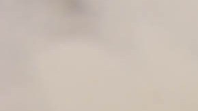 La combinación de ciruelas y avena aporta multiples beneficios para la digestión.