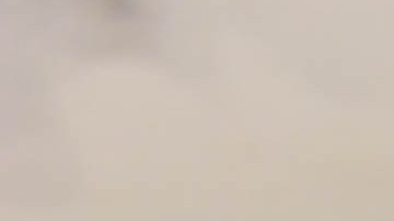 La combinación de ciruelas y avena aporta multiples beneficios para la digestión.