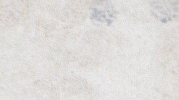 La crema dental es un recurso versátil que te puede aportar soluciones rápidas, pero no reemplaza productos especializados.