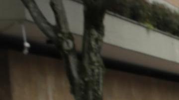 Esposa del político colombiano declaró que "necesita un milagro".