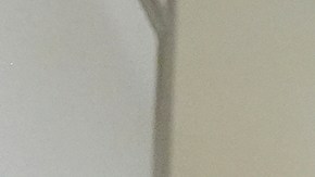 "Esa no fue mi decisión": Trump se desmarcó del regreso de Kilmar Ábrego