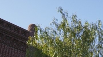 Donald Trump dice que Los Ángeles está bajo control pero no descarta desplegar marines: "Veremos qué pasa"