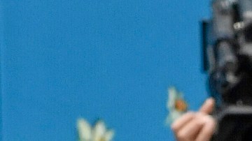 Por el momento, la pareja no tiene planes inmediatos de boda; ambos disfrutan su romance y se enfocan en sus carreras.