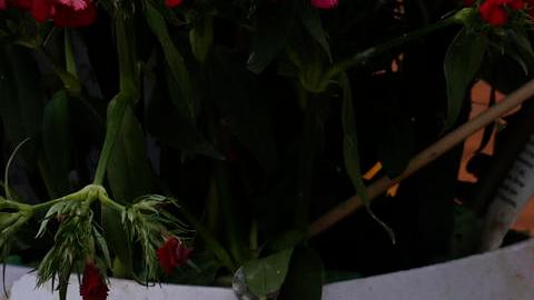 El autor material fue arrestado la semana pasada.