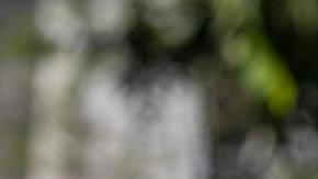 El secretario de la Casa Blanca para asuntos fronterizos, Tom Homan, responde a una pregunta de los medios de comunicación sobre inmigración en el exterior del Ala Oeste de la Casa Blanca, en Washington, D.C., el 19 de junio de 2025.