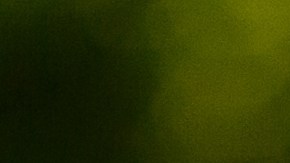 Las fresas son ricas en antioxidantes que ayudan a combatir los efectos de los radicales libres.