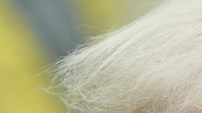 Trump recomendó a Greta Thunberg un curso para aprender a "controlar la ira"