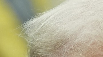 Trump recomendó a Greta Thunberg un curso para aprender a "controlar la ira"