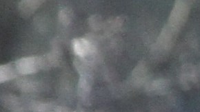 La gobernadora sostiene que las cámaras de velocidad hacen las calles  más seguras para todos los neoyorquinos.