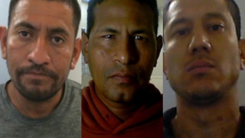 Esta es la lista con 11 indocumentados detenidos en protestas de Los Ángeles, varios latinos