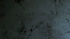 Más de 5,000 asesinatos y 2,500 desapariciones durante gobierno de Bukele en El Salvador