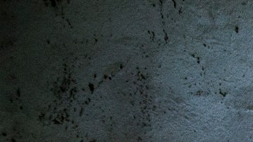 Más de 5,000 asesinatos y 2,500 desapariciones durante gobierno de Bukele en El Salvador