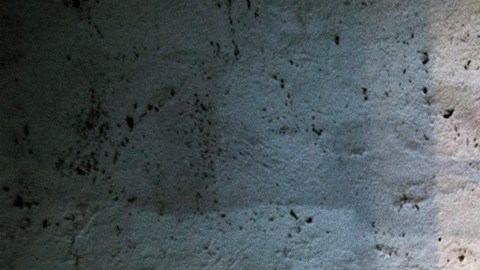 Más de 5,000 asesinatos y 2,500 desapariciones durante gobierno de Bukele en El Salvador
