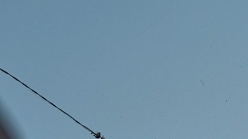 Ejército de Israel dijo que se abrirán más centros de distribución de ayuda humanitaria en Gaza