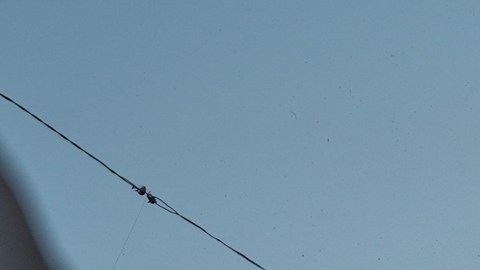 Ejército de Israel dijo que se abrirán más centros de distribución de ayuda humanitaria en Gaza