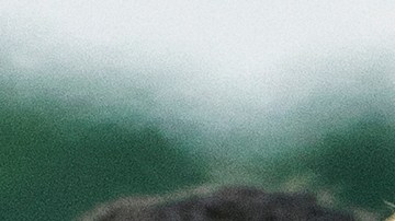 Trump ordenó investigar indultos firmados por Biden, incluido el de su hijo Hunter