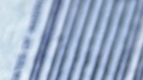 jubilados-pagos-5108-dolares-miercoles-junio-2025-