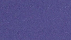 Kate Middleton se robó el corazón de todos en redes sociales al felicitar a su esposo.