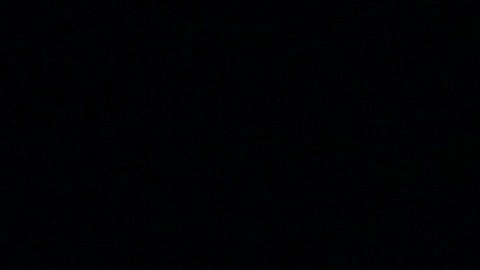 Tras lo sucedido, los comentarios en redes hicieron lo suyo y se fueron de largo con las teorías.