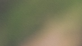 ladrones-estafas-patios-victimas-celulares