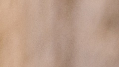 Los frutos rojos son ricos en vitamina C, que estimulan la producción natural del colágeno.