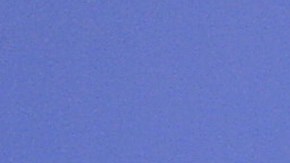 Martha Higareda y Lewis Howes esperan a su primer bebé tras cuatro meses de haberse casado.