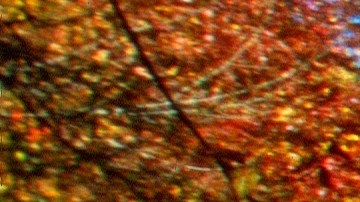 Las montañas Pocono poseen más de 6,000 kilómetros cuadrados de paisajes verdes (o blancos en invierno), bosques, lagos y ríos que cruzan entre colinas.