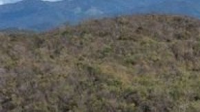 Turismo a Ponce, Puerto Rico