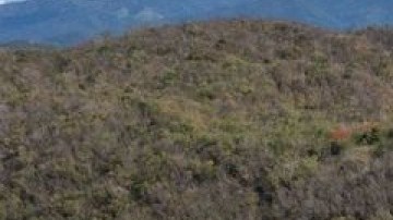 Turismo a Ponce, Puerto Rico
