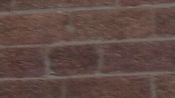 En el 2023, el presidente del condado, Antonio Reynoso, publicó el primer plan comprensivo para Brooklyn, unos de los mayores esfuerzos de planificación urbana en Nueva York.