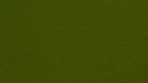 Nora Ramírez y Richard Ramírez, los padres adoptivos acusados en Texas.