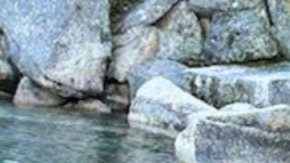 No se han divulgado las identidades de las víctimas.