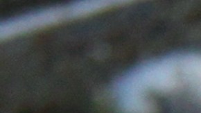 Con sencillos cortes se puede mejorar los perritos calientes.