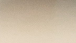 Las proteínas son claves para ganar masa muscular, por lo que se recomienda incluirla en la dieta diaria.