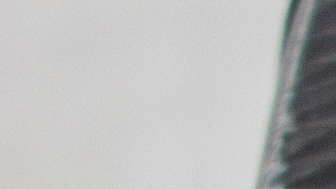 raspadito-boleto-basura-80-mil-dolares-junio-2025