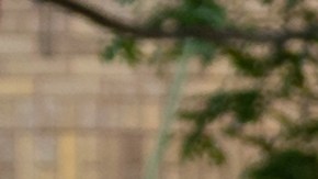 Equipado con un motor de 450 vatios, puede alcanzar velocidades de hasta 25 km/h, ideal para moverse por la ciudad (imagen referencial, no es el producto real).