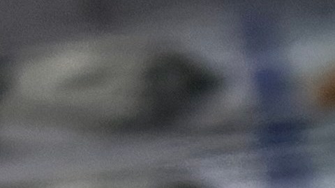 seguro-social-1-de-julio-2025