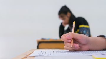El programa AP es dirigido por College Board, una organización sin fines de lucro que desarrolla el currículo, crea, administra las pruebas y además brinda apoyo a los maestros.