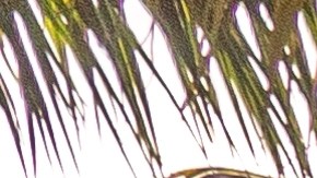 La volatilidad económica ha provocado un desplome en la venta de hogares de alta gama.