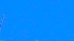 Taco Bell incorporó novedosas plataformas para hacer más seguros sus pagos en línea con su sociedad con PayPall.