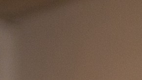 gaandora-consejo-dependiente-de-tienda