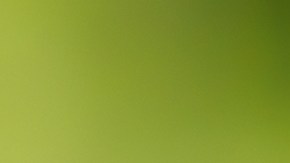 Celebra el Día Nacional del té, preparándolo en casa o disfrutando de las ofertas para la fecha.