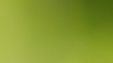 Celebra el Día Nacional del té, preparándolo en casa o disfrutando de las ofertas para la fecha.