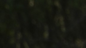 tesla-model-3-honda-gasolina-ahorro