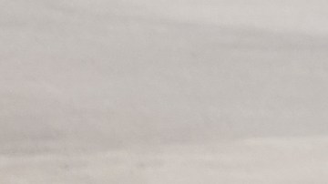 walmart-target-multa-robo-carritos-2500-dolares