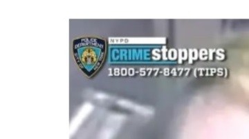 Marie McWilliams (36), sospechosa ya detenida.