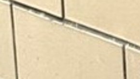 Alerta por niño desaparecido en NYC.