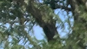 El boricua Rubén Benítez sufrio un ataque al corazón en diciembre que casi lo lleva a la muerte