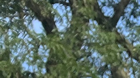 El boricua Rubén Benítez sufrio un ataque al corazón en diciembre que casi lo lleva a la muerte